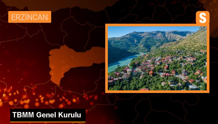 Erzincan’da maden faciasıyla ilgili gözaltı sayısı 9’a yükseldi