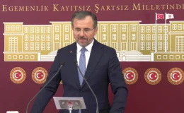 Saadet Partisi, sokak hayvanları sorununun çözümüne yönelik kanun teklifi verdi