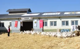 Tarım ve Orman Bakanı: Türkiye’nin tarımsal üretiminde problem yok