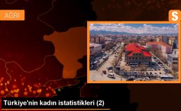 Türkiye’de Kadın Milletvekillerinin Oranı Artarken, Kadın Büyükelçilerin Oranı da Yükseldi