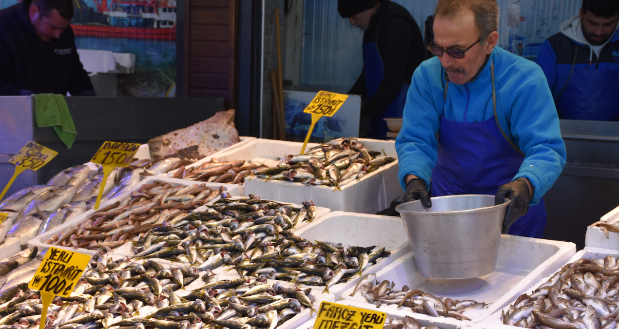 Trabzon’da mezgit ve istavritin kilosu 100 liraya düştü